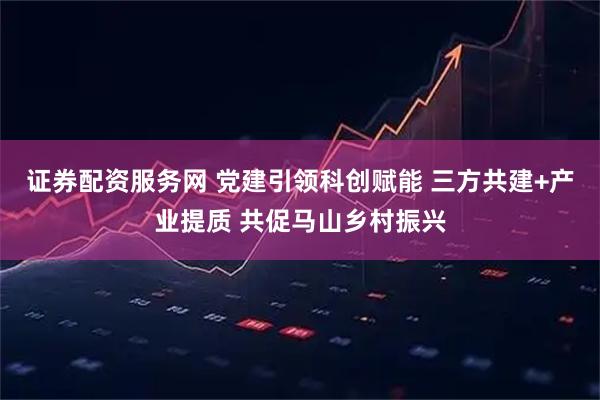 证券配资服务网 党建引领科创赋能 三方共建+产业提质 共促马山乡村振兴