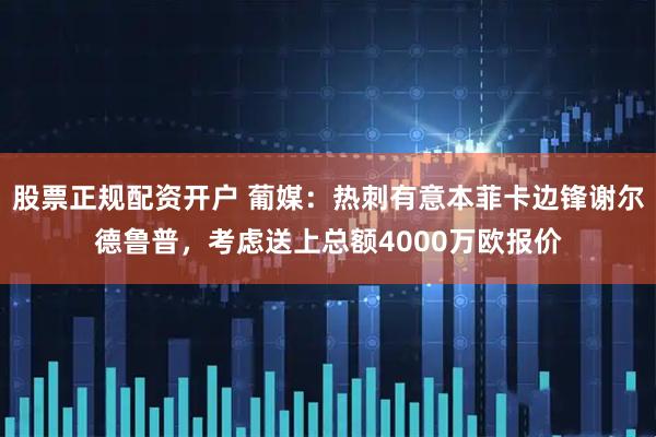 股票正规配资开户 葡媒：热刺有意本菲卡边锋谢尔德鲁普，考虑送上总额4000万欧报价
